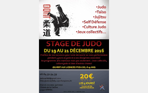 Stage de Judo pour les vacances de Noël!