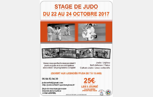 Stage de Judo de Toussaint 2017