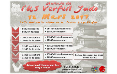 Tournoi de l'US Verfeil Judo 2017