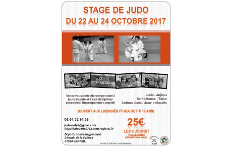 Stage de Judo de Toussaint 2017