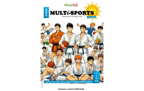 Vidéo 📽 Stage Judo - Multisports Juillet 2025